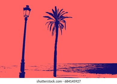 Palm tree. Palm tree in the beach. Tropical tree. Vector illustration. 