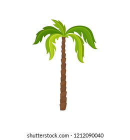 Palm tree with big bright green leaves and brown trunk. Exotic plant. Element of tropical jungle. Nature theme. Fflat vector icon