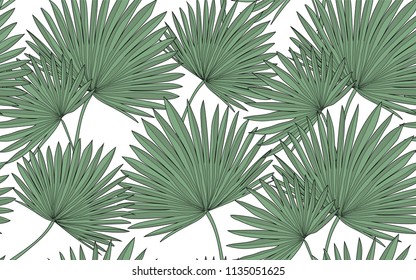 Palm tree. Big leaves and exotic flowers composition. Vector illustration. Botanical seamless wallpaper. Digital nature art. Cartoon style sketch. White background.