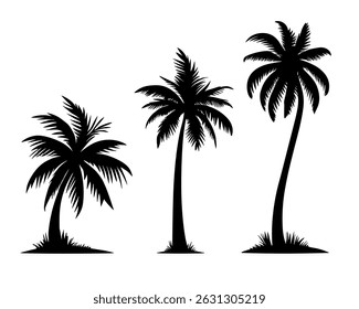 Palm tree black coconut icon. Palmetto beach black summer palm tree hawaii vector icon