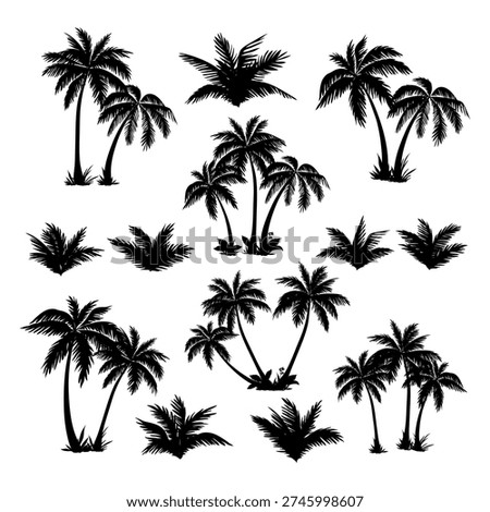Palm tree black coconut icon. Palmetto beach black summer palm tree hawaii vector icon