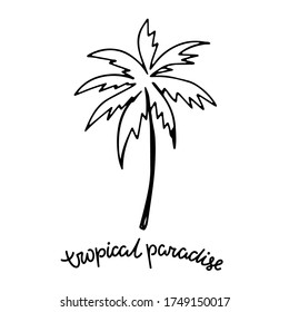 Línea negra de la palmera. Icono, logotipo. Esbozo dibujado a mano en fondo blanco. Texto escrito a mano Paraíso tropical