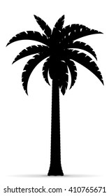 palm tree black outline silhouette vector illustration isolated on white background