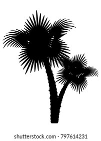 palm tree black outline silhouette stock vector illustration isolated on white background
