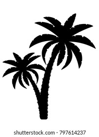 palm tree black outline silhouette stock vector illustration isolated on white background