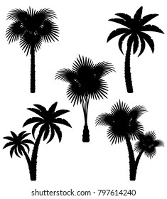 palm tree black outline silhouette stock vector illustration isolated on white background