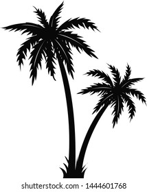 Palm Tree Black Silhouette Isolated White Background, Vector Illustration