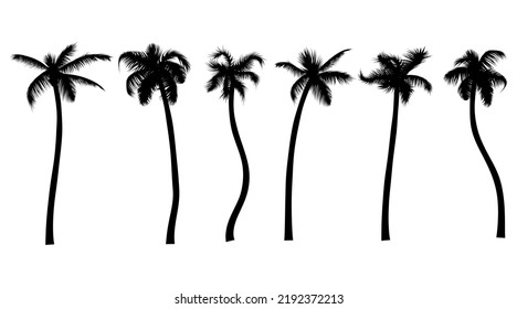 Palm tree black silhouette realistic set. Tropic leaves jungle plants collection vector illustration. Summer tropical trees isolated on white. For your design of flayer, party poster, vacation banner.