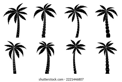 Palm tree black silhouette set. Beautiful tropical beach plant. Coconut jungle cultivated gardening. Exotic tree for natural vacation poster, exotic botany miami banner, Hawaiian travel tourism card