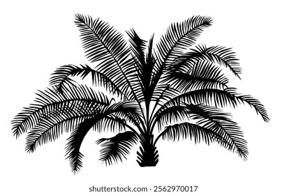 Palm tree black silhouette. Tropical exotic plant icon. Vector monochrome illustration isolated on white background