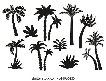 Conjunto de silhuetas pretas da palmeira. Desenho animado vetor mão desenhado eps 10 ilustração clip art isolado no fundo branco.