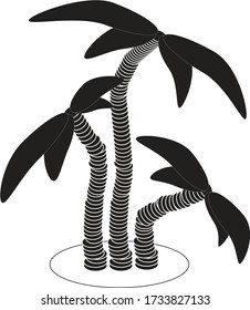 Palm tree black and white