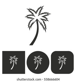 Palm tree - black and white icons. Vector illustration.