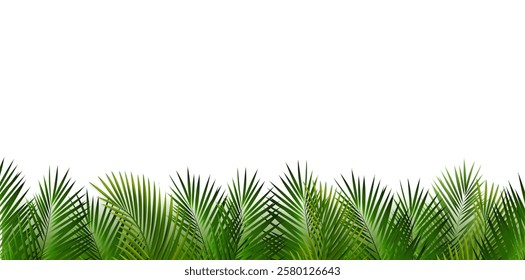 Palm Tree Branch With Blue Background With White Background 
With Gradient Mesh, Vector Illustration