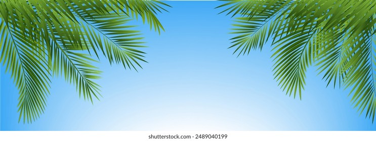 Palm Tree Branch With Blue Sky With Gradient Mesh, Vector Illustration