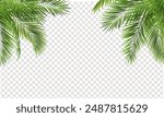 Palm Tree Branch Border With Transparent Background With Gradient Mesh, Vector Illustration