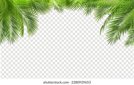 Palm Tree Branch Border And Transparent Background
With Gradient Mesh, Vector Illustration