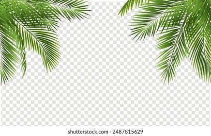 Borde De Rama De Palmera Con Fondo Transparente Con Malla De Degradado, Ilustración vectorial