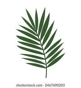 Palm tree branch in flat style. Decorative palm branch. A simple branch of a tropical plant.