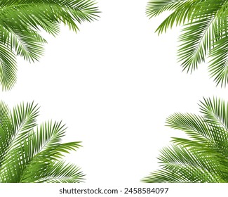 Fondo blanco aislado del marco de la rama de la palmera 
Con malla degradada, Ilustración vectorial