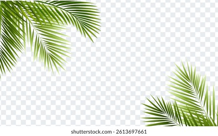 Palm Tree Branch Isolated Transparent Background With Gradient Mesh, Vector Illustration