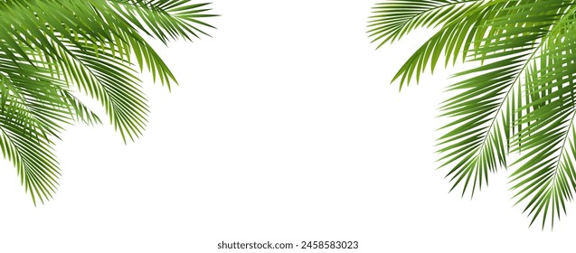 Palm Tree Branch Isolated White Background With Gradient Mesh, Vector Illustration