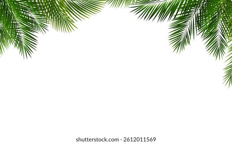 Palm Tree Branch And Isolated White Background With Gradient Mesh, Vector Illustration