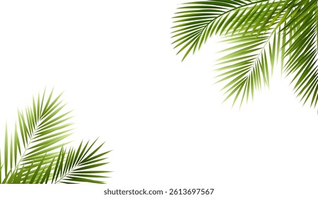 Palm Tree Branch Isolated White Background With Gradient Mesh, Vector Illustration