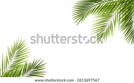 Palm Tree Branch Isolated White Background With Gradient Mesh, Vector Illustration
