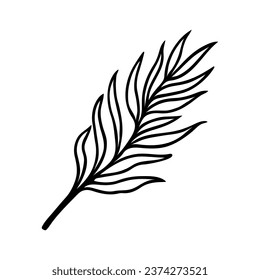 Rama de palmera con hojas, icono vector. Twig de una planta exótica aislada en blanco. Doodle negro dibujado a mano, boceto botánico. Flor tropical clipart para afiches, impresiones, tarjetas, decoraciones, web