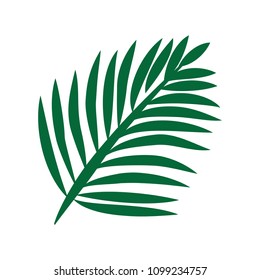 palm tree branch, logo element
