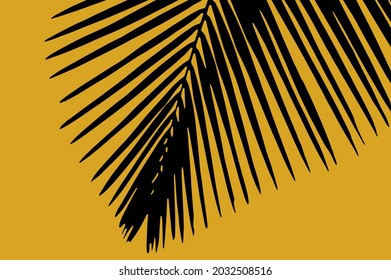Fondo de la silueta de la rama de la palma 