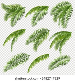 Rama De Palmera Y Fondo Transparente Con Malla De Degradado, Ilustración vectorial