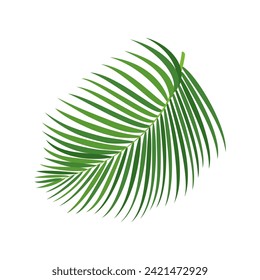 Palm tree branch vector illustration