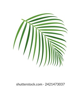 Ilustración vectorial de rama de árbol de palma