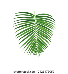 Ilustración vectorial de rama de árbol de palma