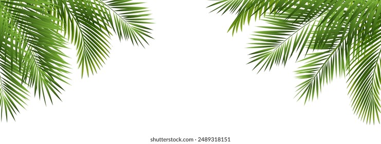 Palm Tree Branch With White Background With Gradient Mesh, Vector Illustration