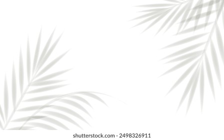 Palm Tree Branch With White Background With Gradient Mesh, Vector Illustration