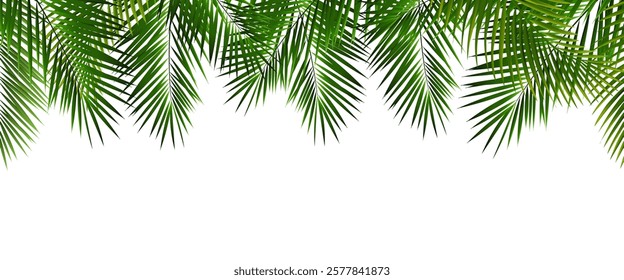 Palm Tree Branch And White Background 
With Gradient Mesh, Vector Illustration