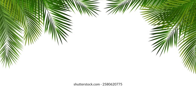 Palm Tree Branch And White Background With Gradient Mesh, Vector Illustration