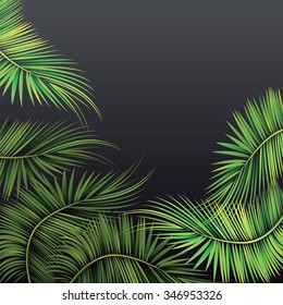 Palm tree branches on dark background. Vector illustration.