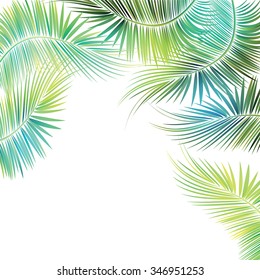Palm tree branches on white background. Vector illustration.