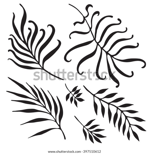 Palm Tree Branches Silhouette Tropical Leaves Stock Vector