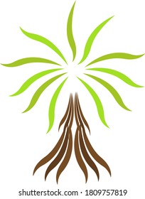 palm tree with a bright green top and brown trunk logo for design symbol of warm countries object on white background