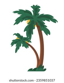 Palm tree with broad and large leaves and solid trunk. Isolated tropical and exotics vegetation and nature, wilderness flora, and floral design for beaches and islands. Vector in flat styles