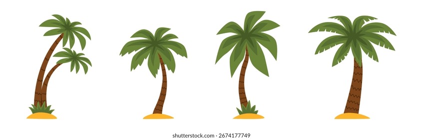 Palmera con tronco marrón y Vector superior verde