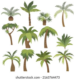 Palm tree cartoon in flat style