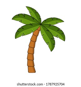 Palm tree cartoon isolated on white. Single palm clipart. Template for poster or postcard. Graphic element for tropical, exotic illustration. One high coco palmtree for summertime drawing.