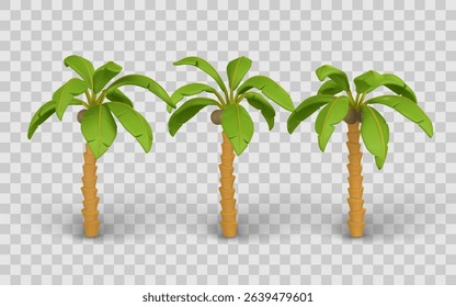 Palm Tree Cartoon Set with Tropical Leaves and Coconuts on Transparent Background. Perfect for Summer, Beach, or Island Themes. Vector Illustration.