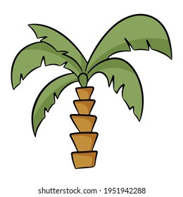 Palm tree al estilo de las caricaturas. Ilustración vectorial aislada en un fondo blanco.